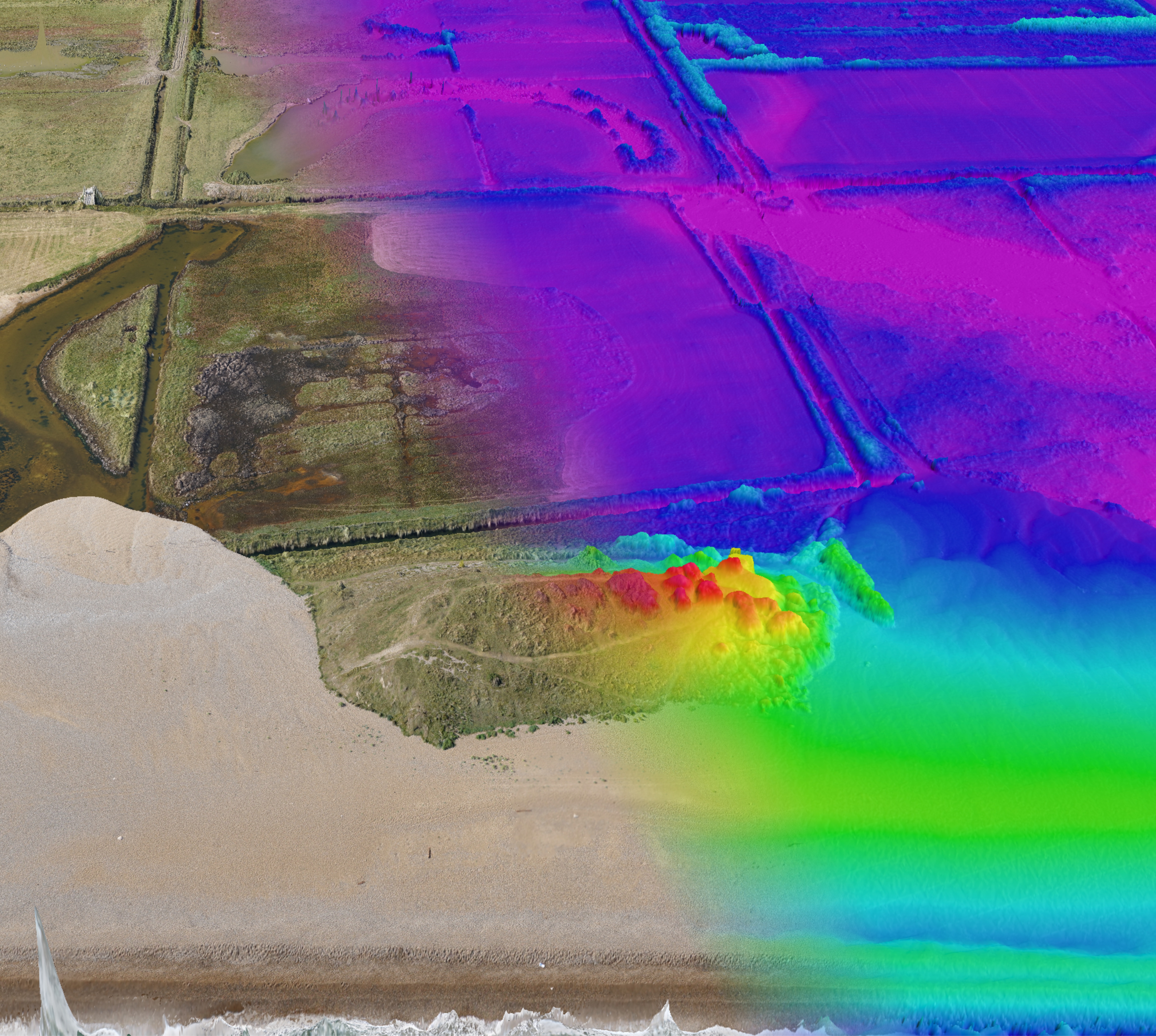 real and false colour image of a coastline from above
