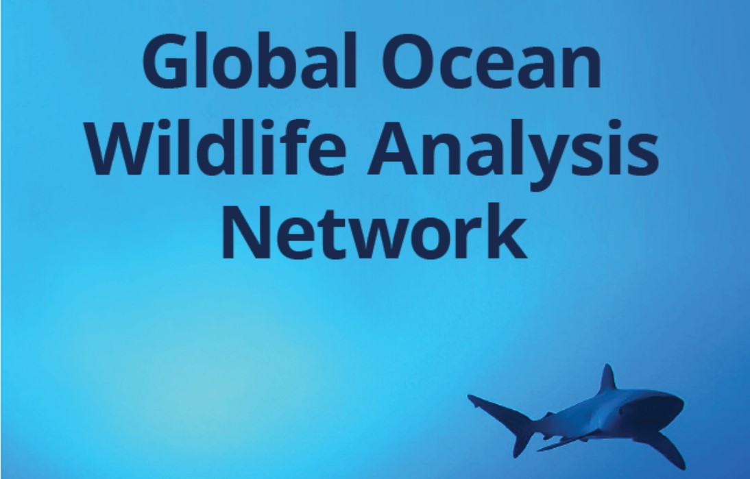 Global Ocean Wildlife Analysis Network