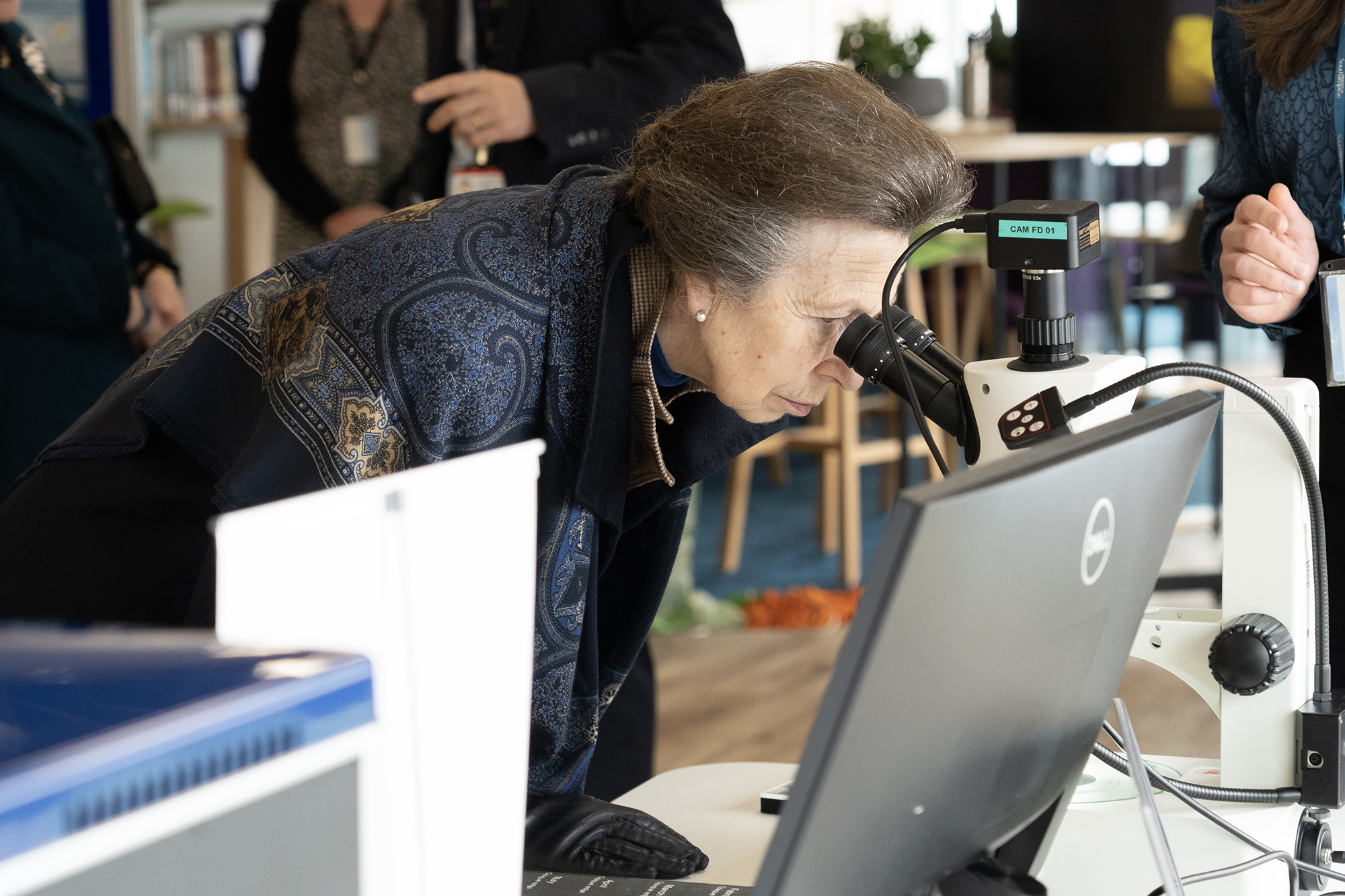 The Princess Royal looking down a microscope at fish otoliths (ear bones)