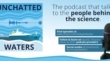podcast graphic
