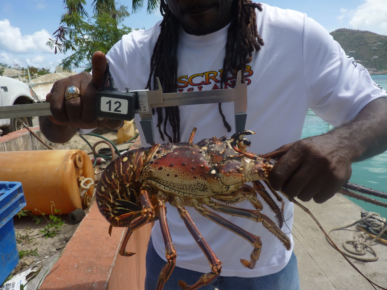 Regional collaboration to achieve sustainable fisheries in the Caribbean