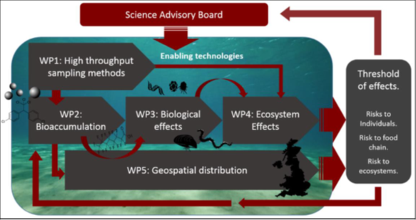 MINIMISE diagram