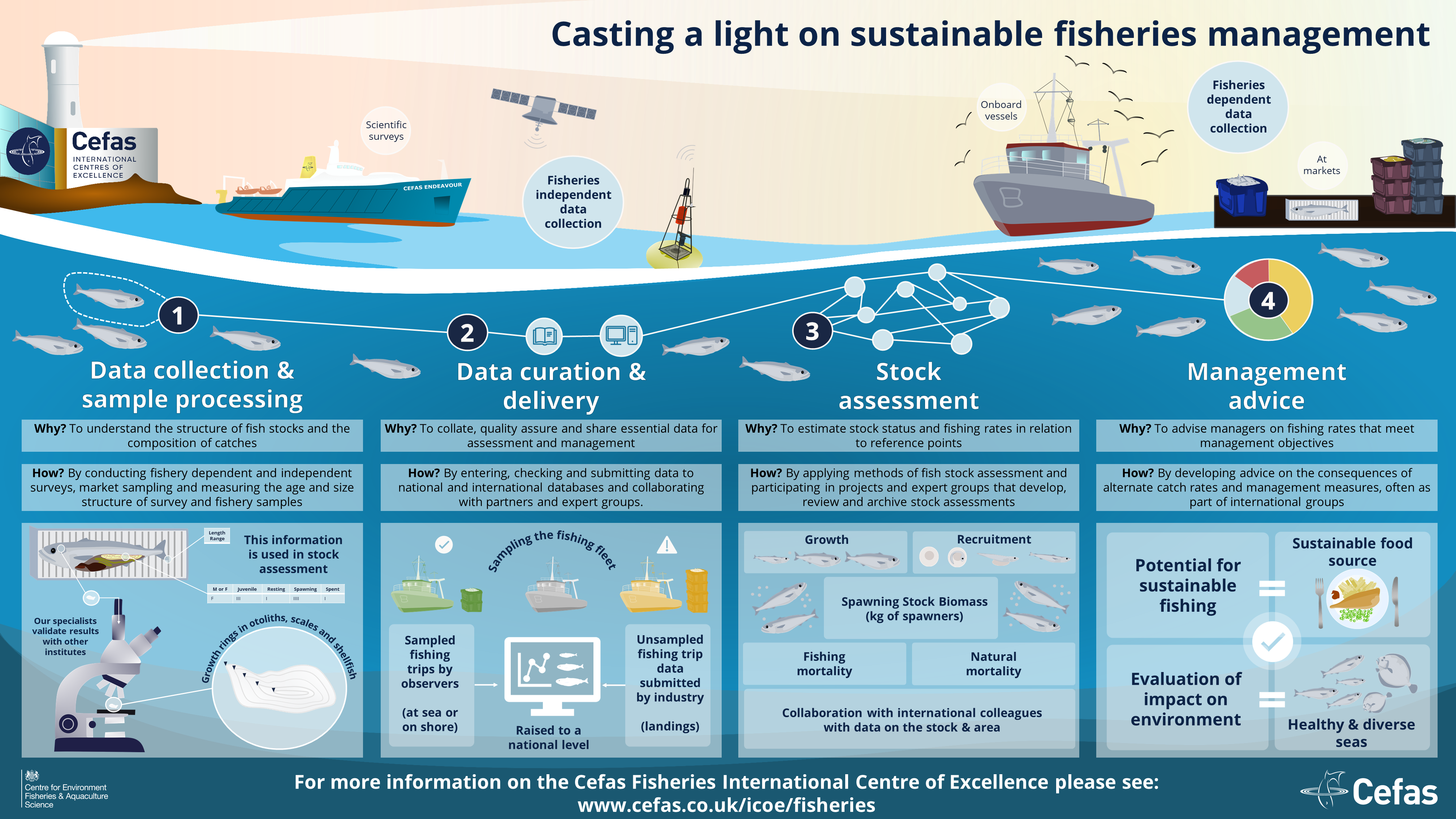 Infographic showing the process of sustainable fisheries management by Cefas from: data collection & sample processing, Data curation & delivery, Stock assessment and Management advice to celebrate the launch of the Cefas International Centre of Excellence for fisheries.