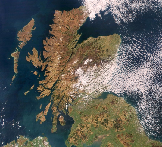 Shellfish Monitoring and Classification