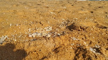 Plastic pollution on a beach in Sri Lanka