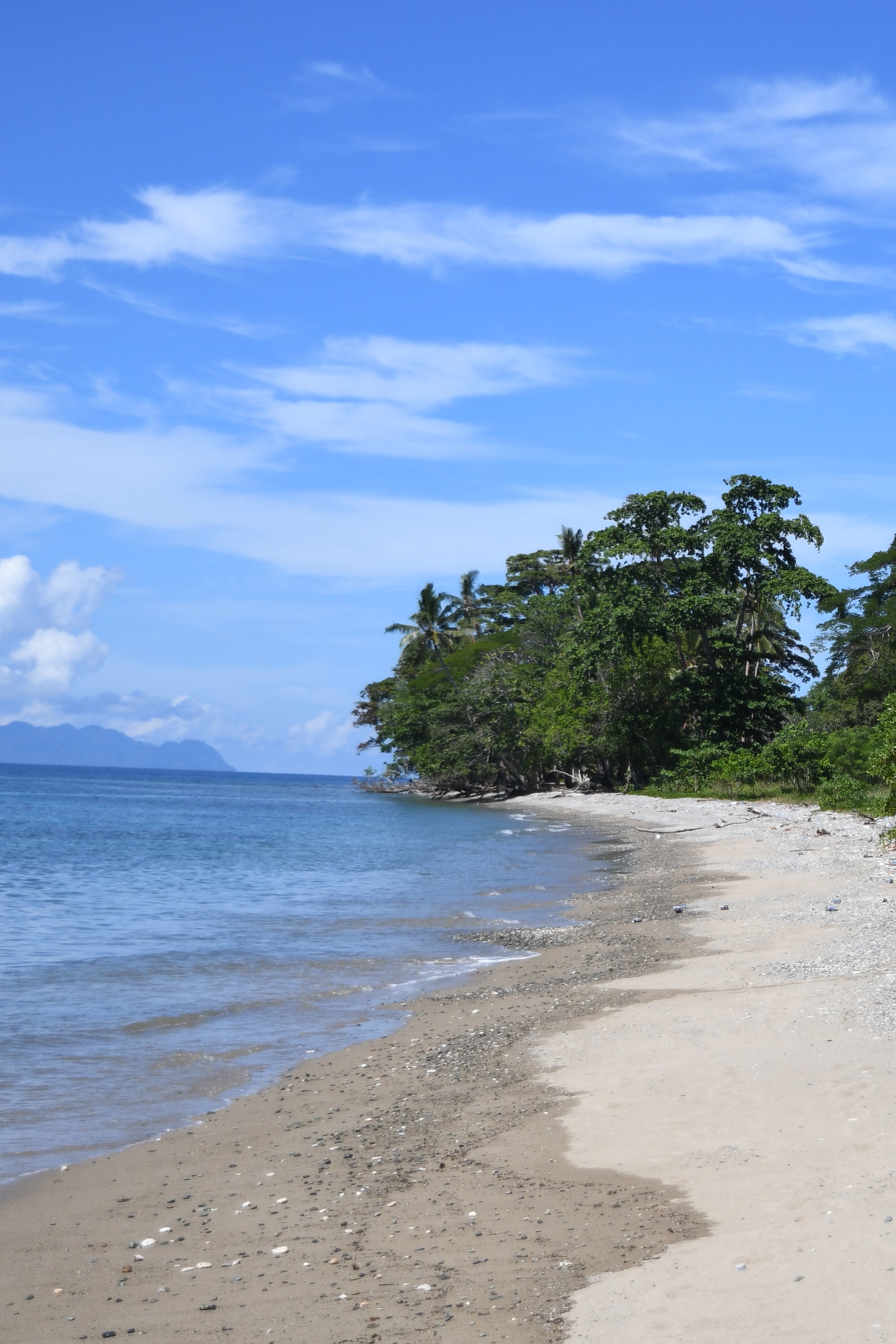 beach in the South Pacific