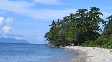 beach in the South Pacific