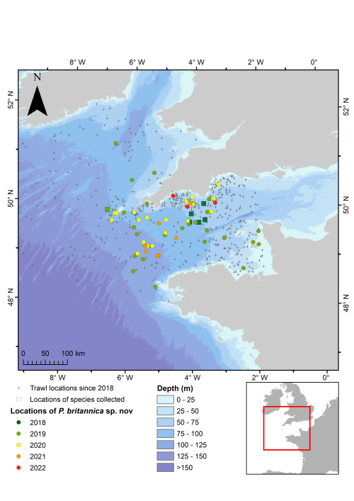 Map - location of species of Pleurobranchaea britannica collected