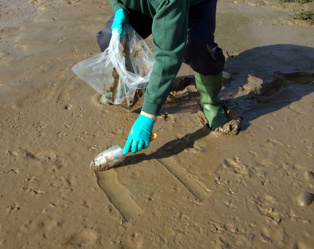 man collecting mud sample