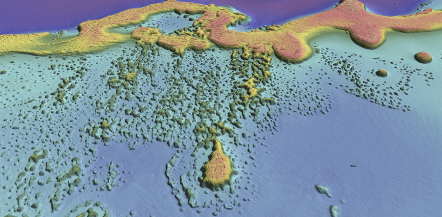 a computer generated map of the seabed
