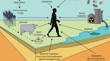 Ensuring Food Safety: Radioactivity in Food and the Environment