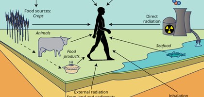 Ensuring Food Safety: Radioactivity in Food and the Environment