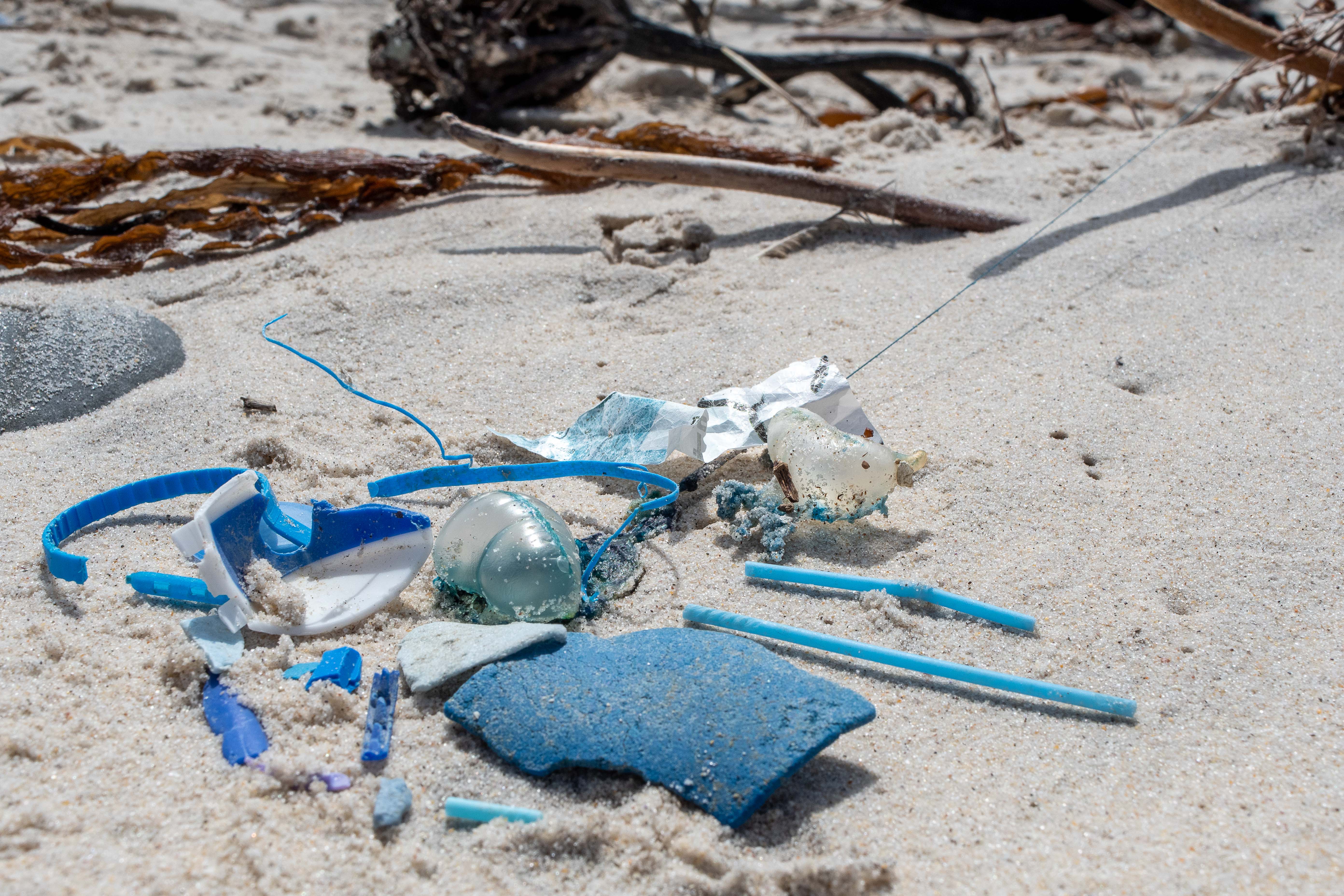 blue litter on the beach