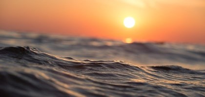 2022 data published by Cefas shows that sea temperatures across the south and east of England hit record breaking levels this summer.