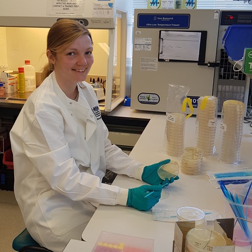Image of Charlotte working in microbiology lab