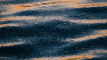 the surface of the sea