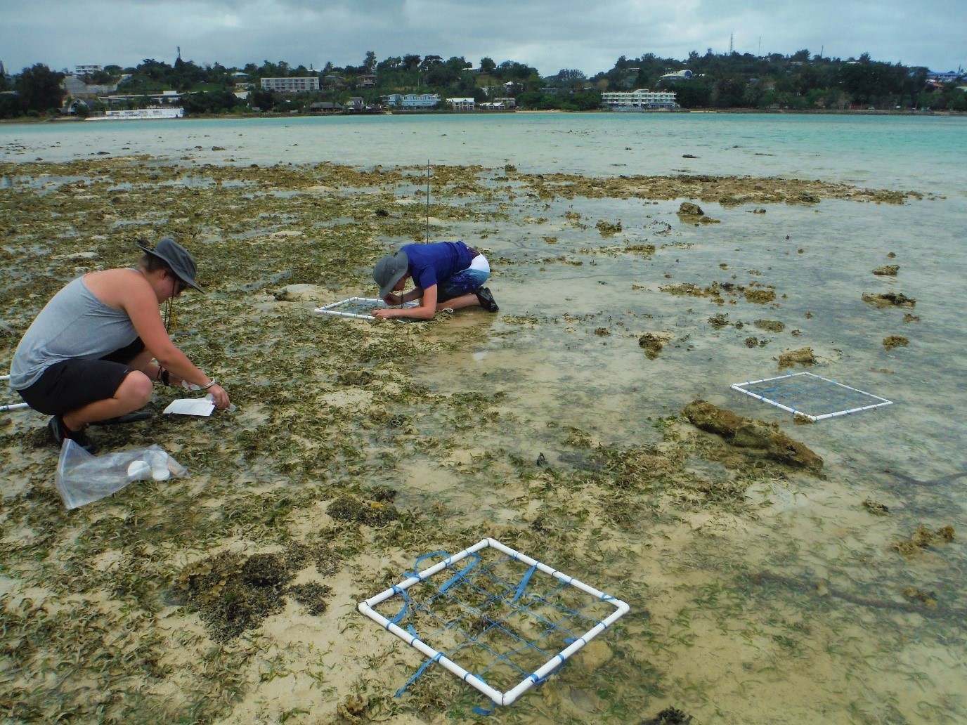 two people in a seagrass field by the water conducting scientific experiments