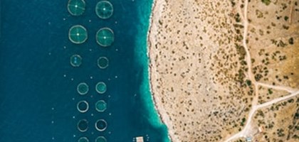 Arial image of fish farm