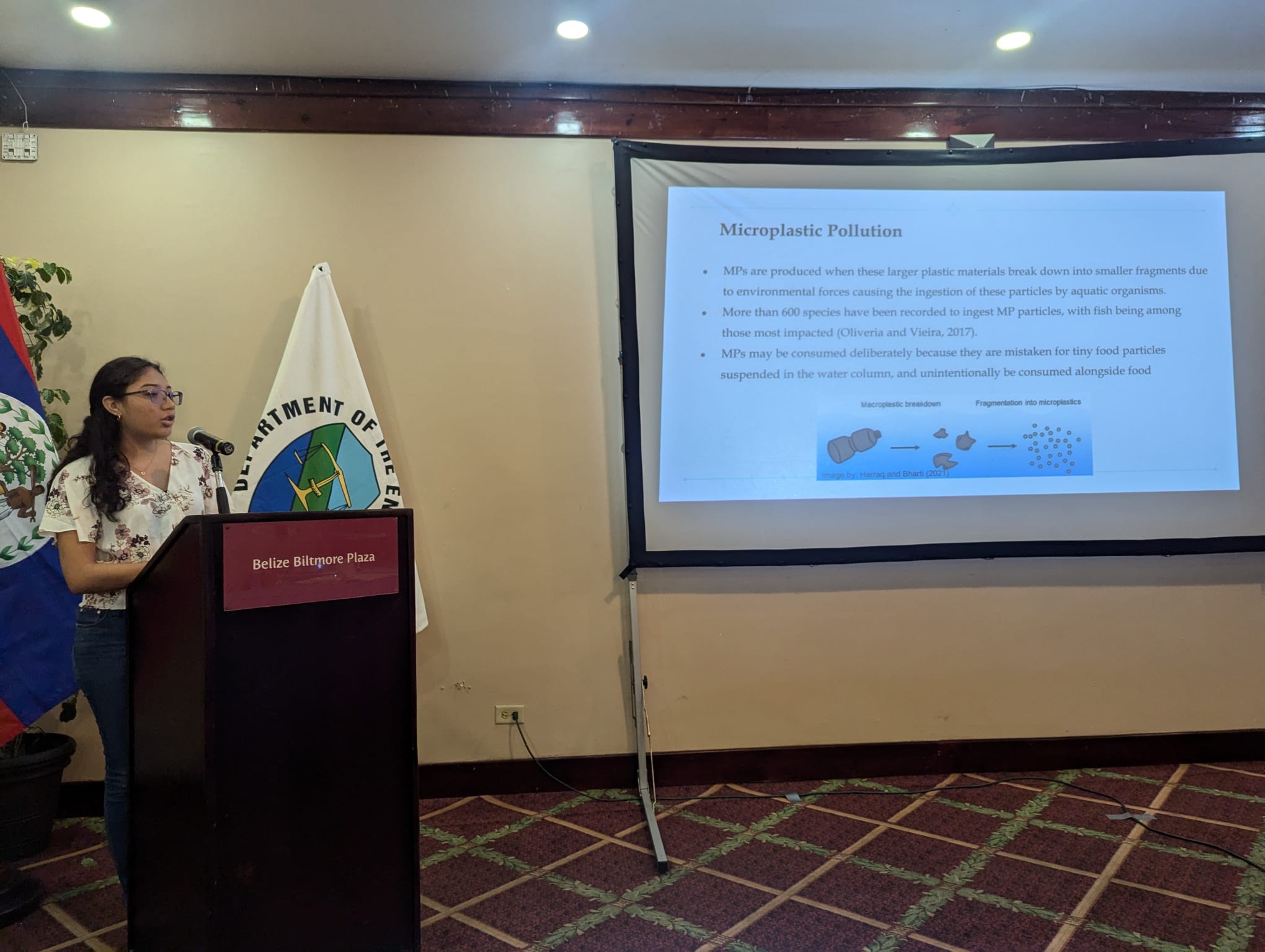 a person stood behind a podium presenting to a room with a screen behind them reading "Mircoplastic Pollution"
