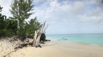 Cayman Islands