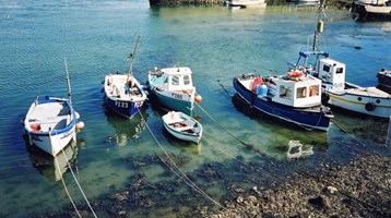 fishing boats in the sea