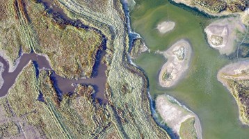 The economic value of ‘blue’ carbon and beyond.