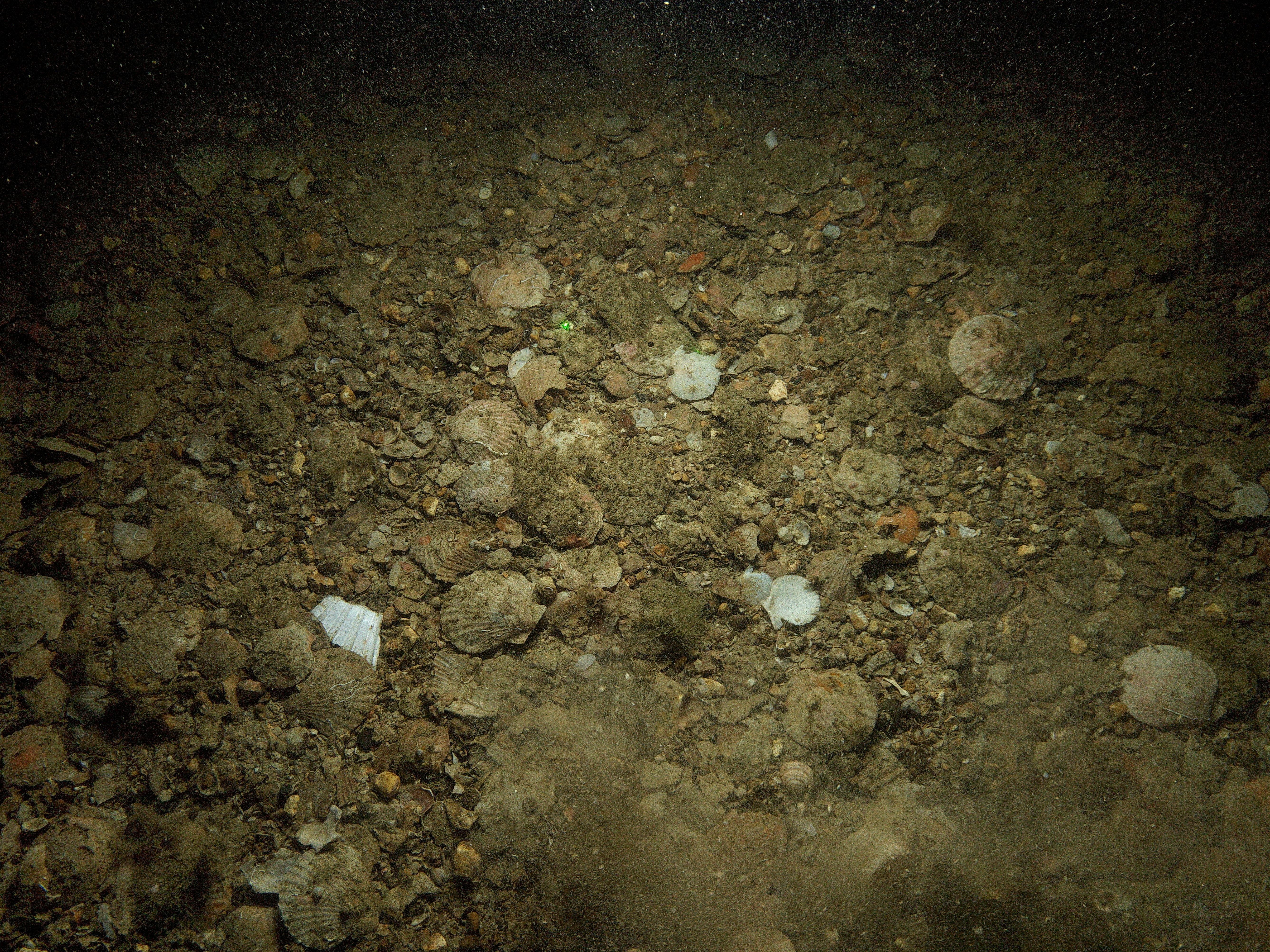 POSEIDON seabed imagery