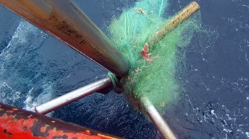 Promoting a circular economy in fishing gear